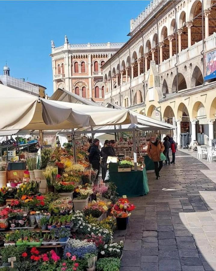 Appartamento Al Teatro Padova Esterno foto